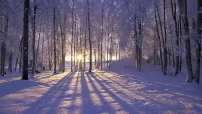 Zakon.kz, фото - Новости Zakon.kz от 24.01.2017 12:00