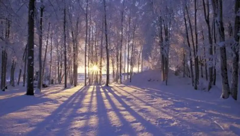Туман и снег будут в Казахстане во вторник