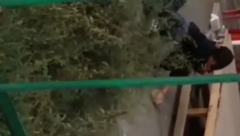 В сети появилось видео, на котором девушка избивает мужчину