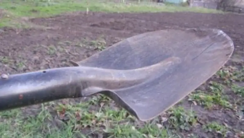 В Костанайской области мужчина убил сожительницу лопатой