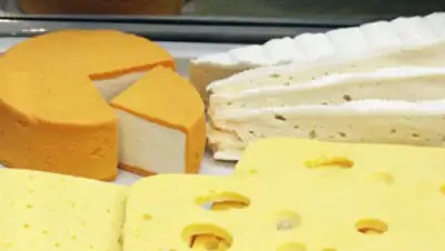 Zakon.kz, фото - Новости Zakon.kz от 21.04.2015 17:05