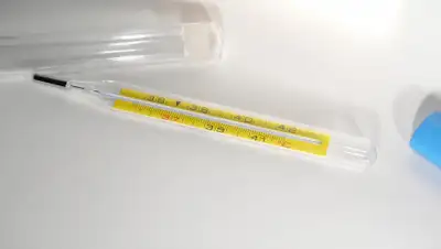 pxhere.com, фото - Новости Zakon.kz от 28.03.2020 22:34