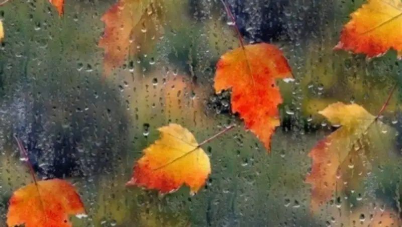 Лишь на западе страны сегодня ожидается погода без осадков