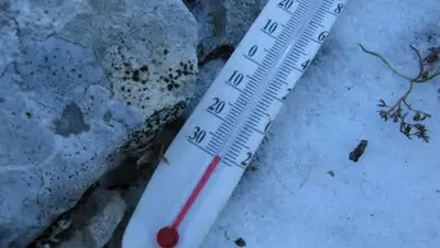 1ul.ru, фото - Новости Zakon.kz от 21.11.2019 11:41