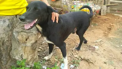 ViralPress, фото - Новости Zakon.kz от 18.05.2019 06:26