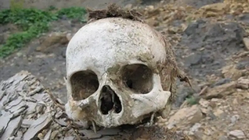 На свалке в Усть-Каменогорске найден предмет, похожий на череп