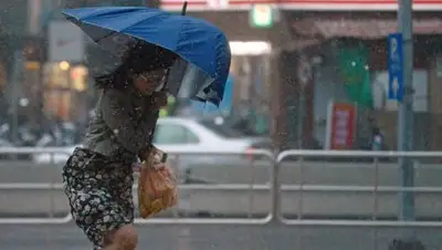 Zakon.kz, фото - Новости Zakon.kz от 10.09.2017 19:43