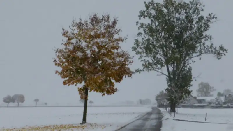 В северных областях Казахстана возможны метели