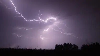 pixabay.com, фото - Новости Zakon.kz от 18.03.2019 18:51