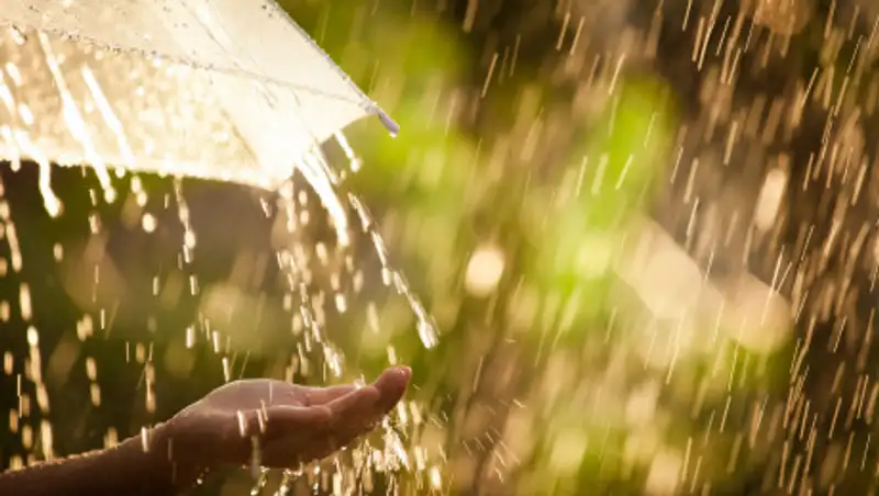 Казахстанцев ждет дождливая суббота