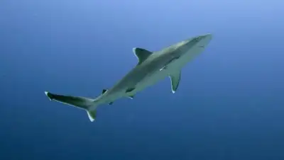 Zakon.kz, фото - Новости Zakon.kz от 01.06.2016 21:32