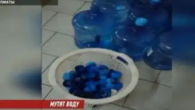 Zakon.kz, фото - Новости Zakon.kz от 17.11.2017 06:16