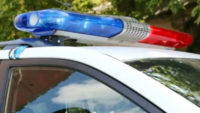 Грабитель пытался скрыться от полиции в кустах