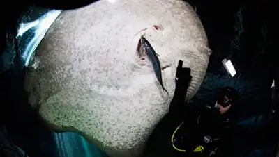 Zakon.kz, фото - Новости Zakon.kz от 05.10.2016 23:04