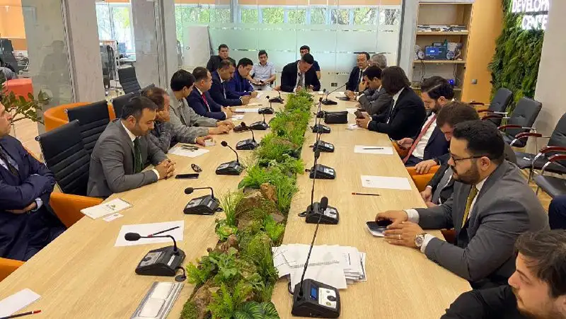 Турецкие инвесторы реализуют ряд проектов в Алматинской области