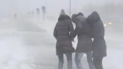 Zakon.kz, фото - Новости Zakon.kz от 26.01.2017 16:30