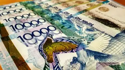 kaznews.kz, фото - Новости Zakon.kz от 14.02.2019 10:11