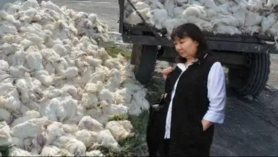 kazakh-zerno.net, фото - Новости Zakon.kz от 20.10.2020 09:39