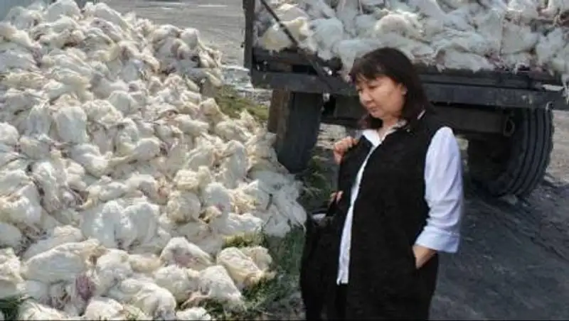 Минсельхоз попросил выделить из бюджета 3 миллиарда тенге