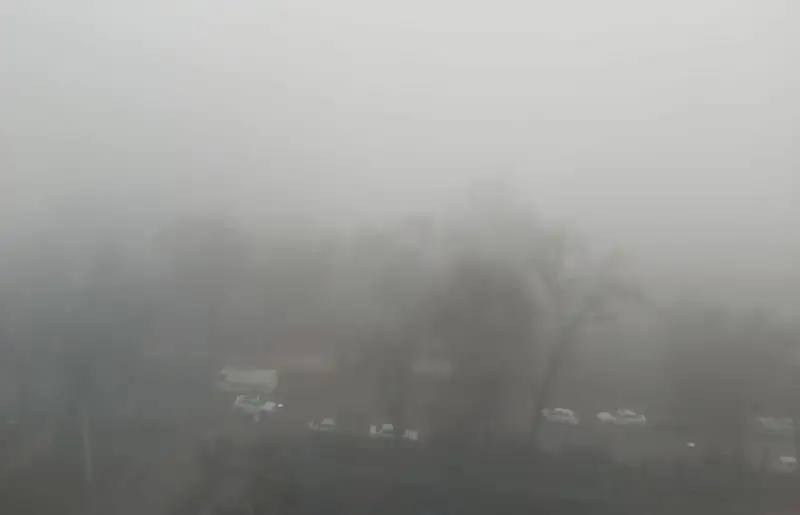 Туман накрыл Алматы, фото - Новости Zakon.kz от 09.03.2023 10:10