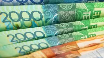 Zakon.kz, фото - Новости Zakon.kz от 15.01.2018 17:34