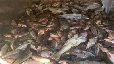 polisia.kz, фото - Новости Zakon.kz от 04.11.2021 07:42