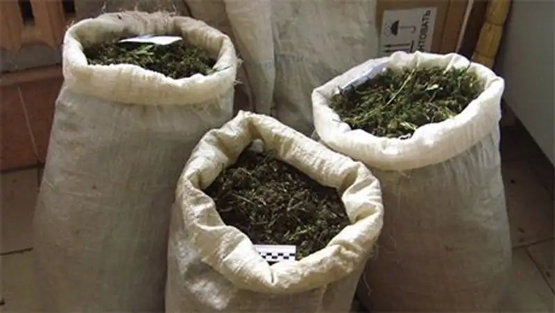 В Мангистауской области задержали крупного наркосбытчика