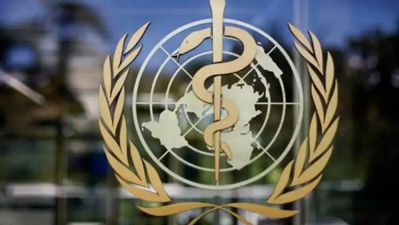 ВОЗ направила группу в Китай для расследования происхождения COVID-19