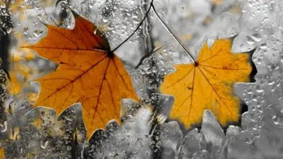 Zakon.kz, фото - Новости Zakon.kz от 28.10.2017 06:00