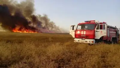Zakon.kz, фото - Новости Zakon.kz от 23.08.2017 18:26