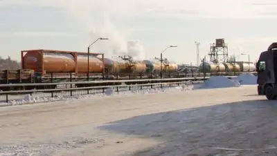 Колёса, фото - Новости Zakon.kz от 24.01.2019 10:40