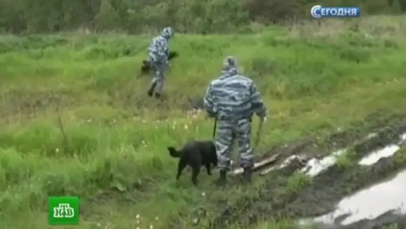 В Подмосковье нашли обезглавленное год назад тело женщины