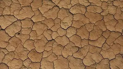 Песчаные барханы могут поглотить шесть сел в Атырауской области, фото - Новости Zakon.kz от 07.09.2023 09:09