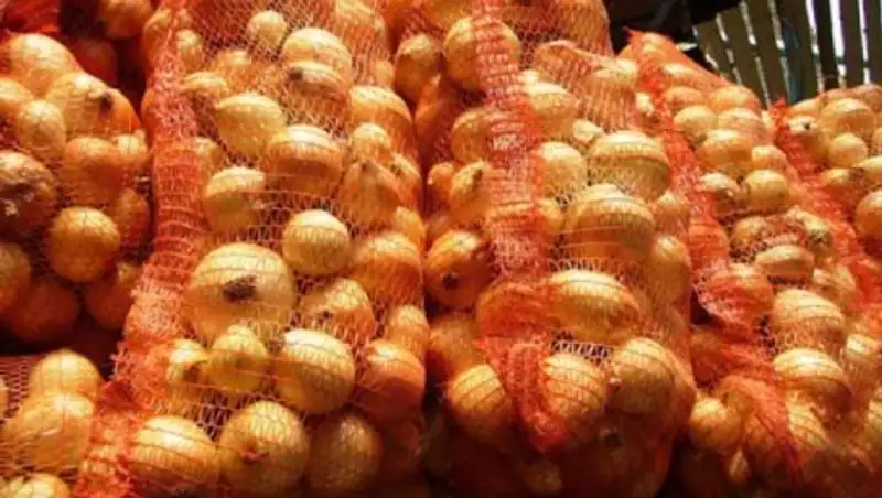 60 тонн казахстанского лука не пустили в Россию