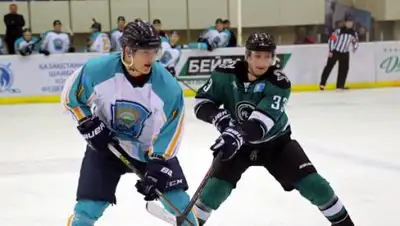 SHAIBA.KZ, фото - Новости Zakon.kz от 14.02.2018 08:21