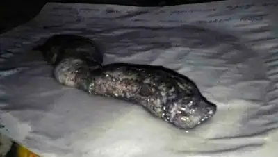 Zakon.kz, фото - Новости Zakon.kz от 05.02.2016 15:46