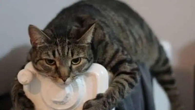 Отопительный сезон продлен в Шымкенте