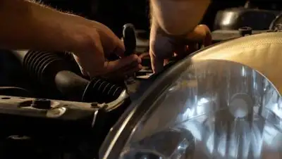 pixabay.com, фото - Новости Zakon.kz от 20.08.2021 23:54