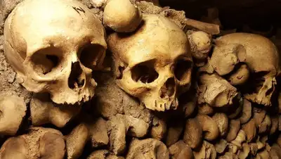 Pixabay, фото - Новости Zakon.kz от 22.11.2019 06:00