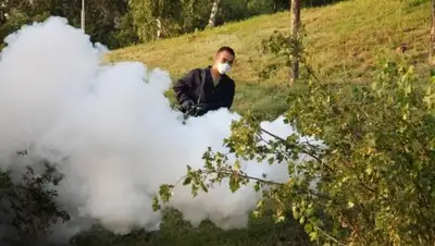 Zakon.kz, фото - Новости Zakon.kz от 28.08.2017 10:38