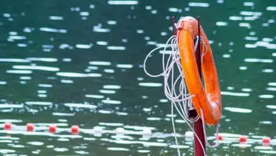 Pixabay.com, фото - Новости Zakon.kz от 12.08.2021 21:28