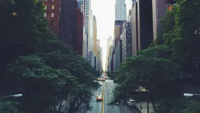 Pixabay, фото - Новости Zakon.kz от 17.04.2020 10:16