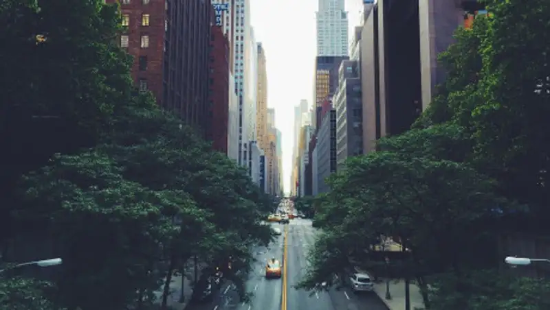 В США начали снимать ограничения по COVID-19