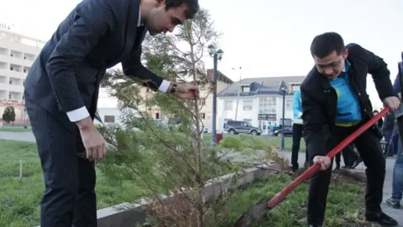 Ровесники Независимости посадили саженцы деревьев
