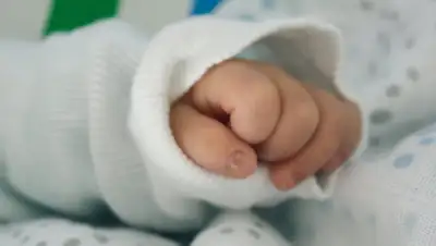 Вологда онлайн портал, фото - Новости Zakon.kz от 17.04.2019 11:27