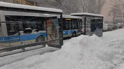 Бескондукторная система оплаты проезда вводится в Шымкенте, фото - Новости Zakon.kz от 25.02.2023 10:33