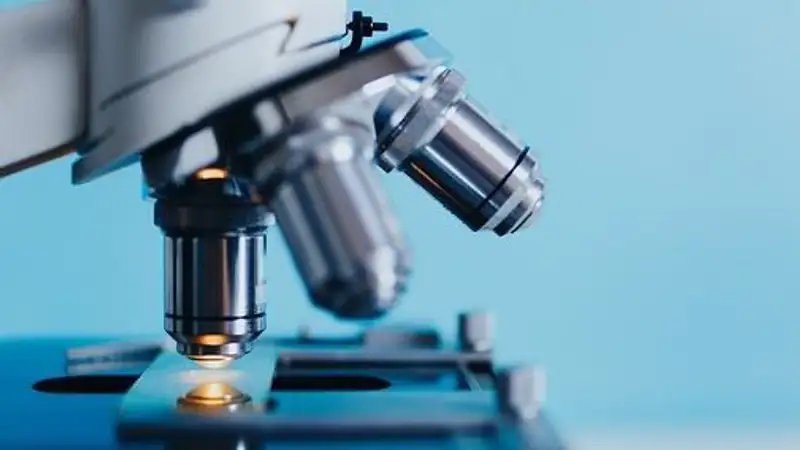 В Карагандинской области в пять раз выросло число заболевших вирусным гепатитом