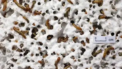 Zakon.kz, фото - Новости Zakon.kz от 02.10.2015 02:56