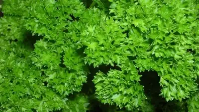 Zakon.kz, фото - Новости Zakon.kz от 03.02.2015 20:44