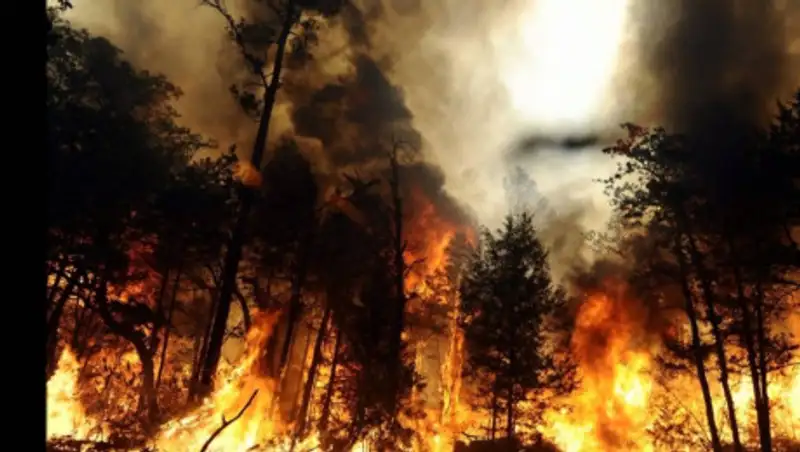 Дым в Нур-Султан принес сибирский ветер